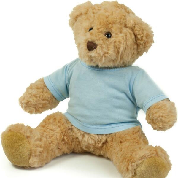 Mumbles Teddy T-Shirt Thumbnail