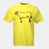 Russell Classic Ringspun T-Shirt Thumbnail