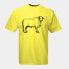 Russell Classic Ringspun T-Shirt Thumbnail