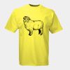 Russell Classic Ringspun T-Shirt Thumbnail