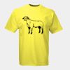 Russell Classic Ringspun T-Shirt Thumbnail