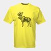 Russell Classic Ringspun T-Shirt Thumbnail