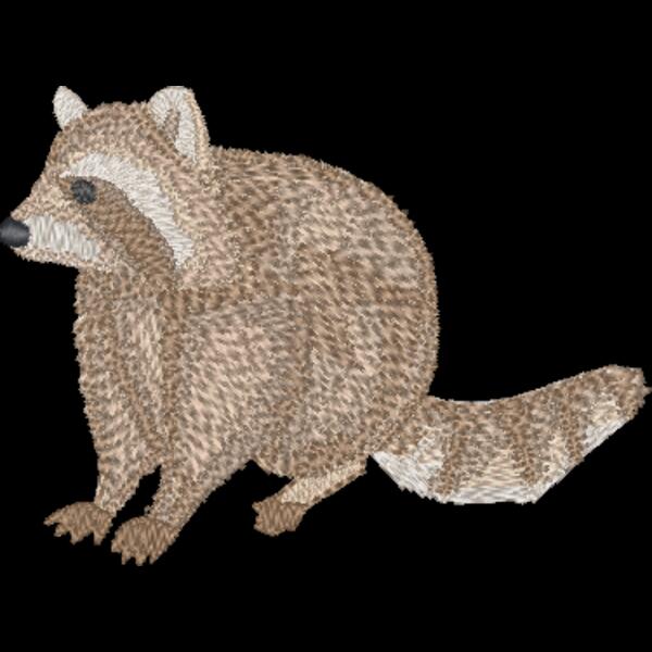 Raccoon Thumbnail