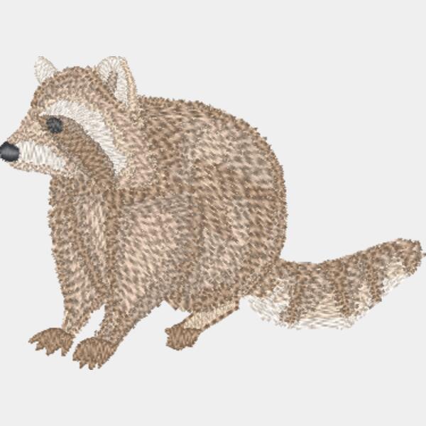 Raccoon Thumbnail