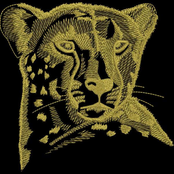 Cheetahs Thumbnail
