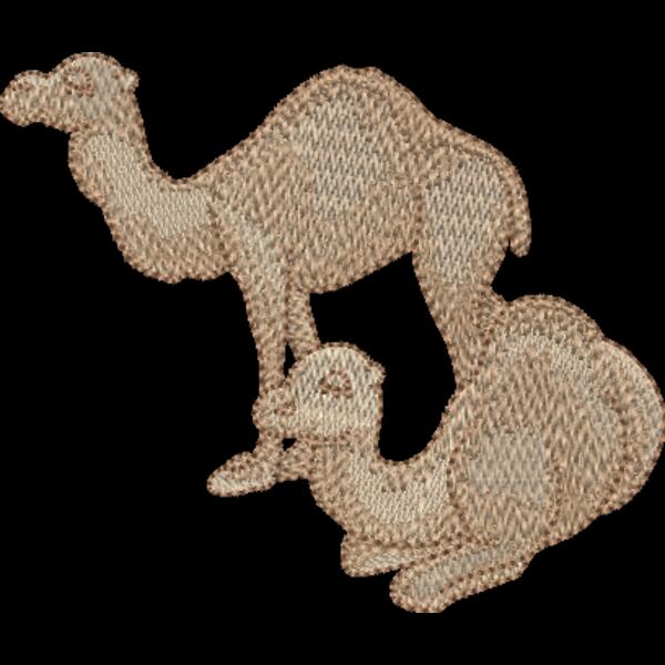 Camels Thumbnail