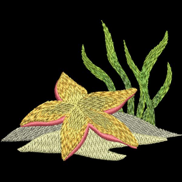 Seashells Thumbnail