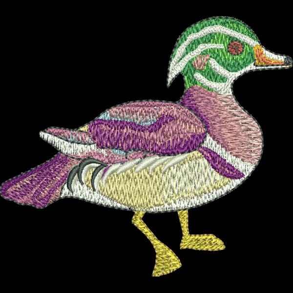 Ducks Thumbnail