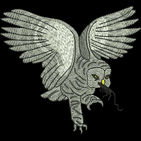 Owl Thumbnail