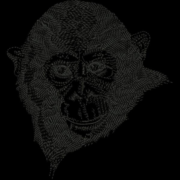 Chimpanzee Thumbnail