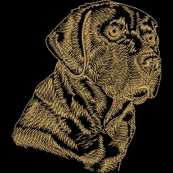Labrador Thumbnail