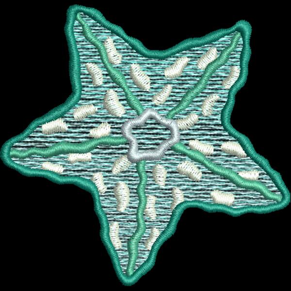 Starfish Thumbnail