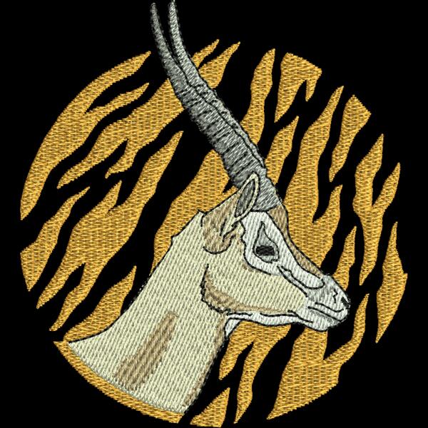 Antelopes Thumbnail