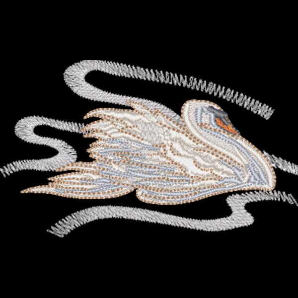 Swans Thumbnail