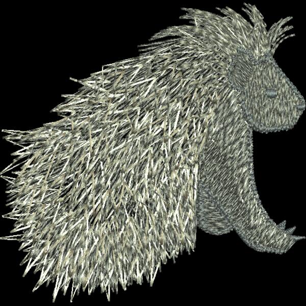 Porcupine Thumbnail