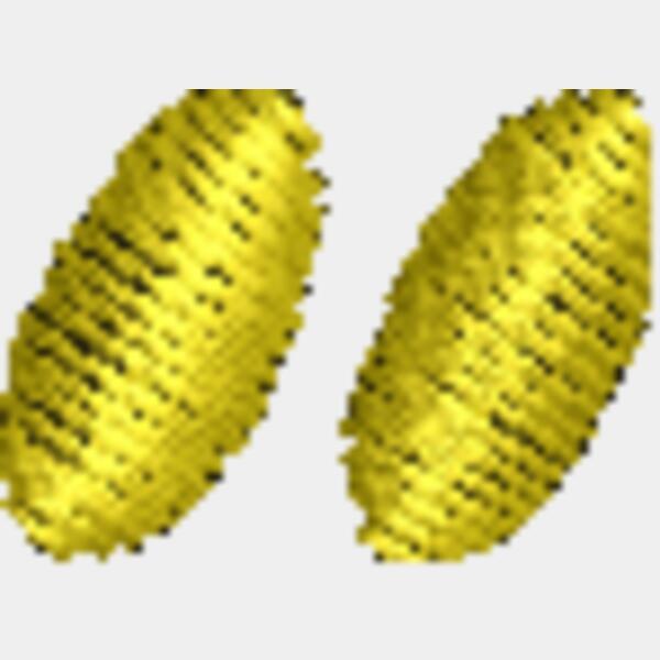 Diacritic Thumbnail