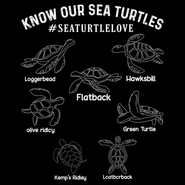 SC002-B39-D10 Know our sea turtles Thumbnail
