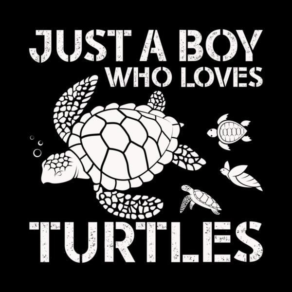 SC002-B39-D32 Just a boy who loves turtle Thumbnail