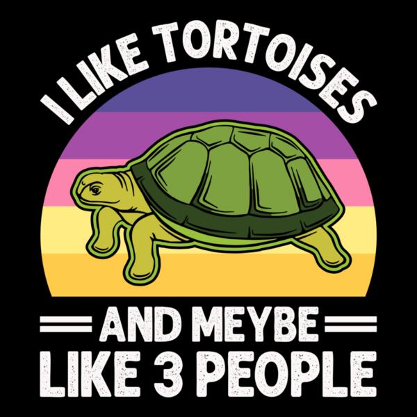 SC002-B39-D46 I like tortoises and meybe like 3 people Thumbnail