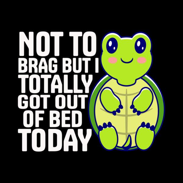 SC002-B39-D49 Not to brag but i totally got out of bed today Thumbnail
